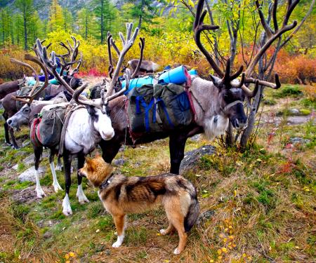 呼伦贝尔经典人文